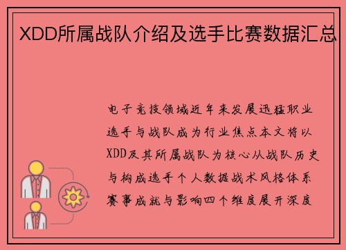 XDD所属战队介绍及选手比赛数据汇总